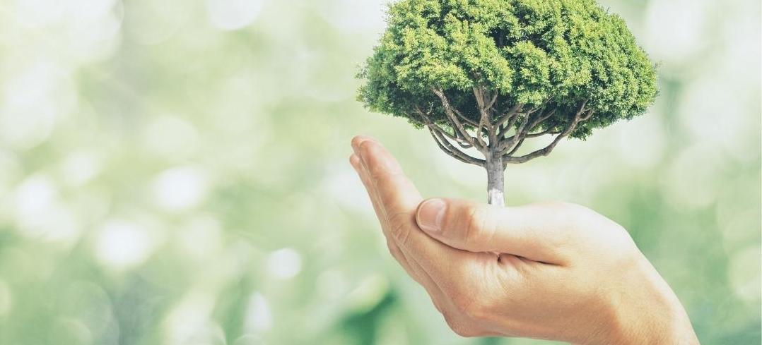 eco friendly sustainable Vancouver green