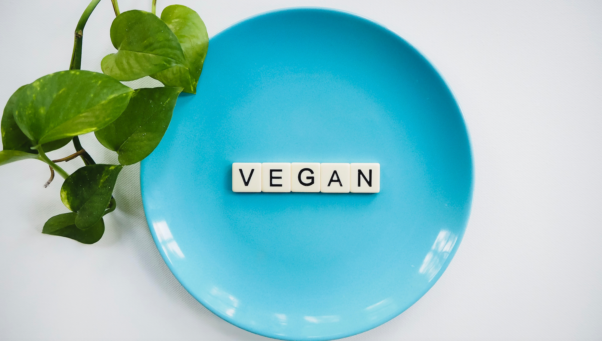 Veganuary vegan catering options